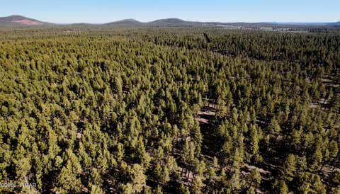 Tiny photo for 950 Birdsong Way, Lakeside, AZ 85929 (MLS # 260900)