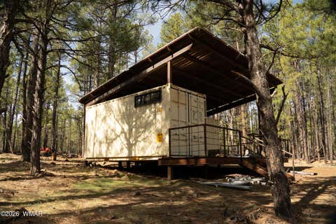 Tiny photo for 950 Birdsong Way, Lakeside, AZ 85929 (MLS # 260900)