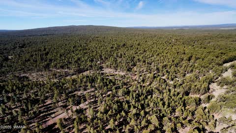 Tiny photo for 950 Birdsong Way, Lakeside, AZ 85929 (MLS # 260900)
