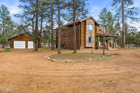 Photo of 3022 Chevelon Road, Overgaard, AZ 85933 (MLS # 260523)