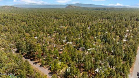 Tiny photo for 5801 Apache Trail, Pinetop, AZ 85935 (MLS # 260856)