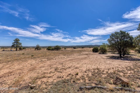Tiny photo for 1849 Rocky Lane, Show Low, AZ 85901 (MLS # 261895)