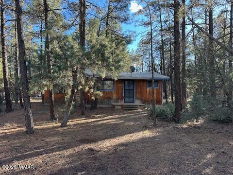 Photo of 3343 Sunset Lane, Lakeside, AZ 85929 (MLS # 259567)