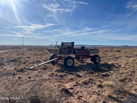 Tiny photo for TBD 19th Street, Holbrook, AZ 86025 (MLS # 254462)