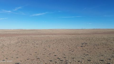 Tiny photo for TBD 19th Street, Holbrook, AZ 86025 (MLS # 254462)
