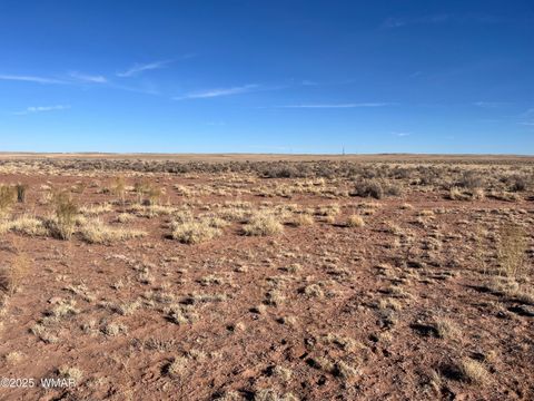 Photo of TBD 19th Street, Holbrook, AZ 86025 (MLS # 254462)