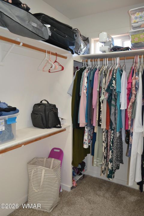 Tiny photo for 7651 Dalton Lane, Taylor, AZ 85939 (MLS # 259796)