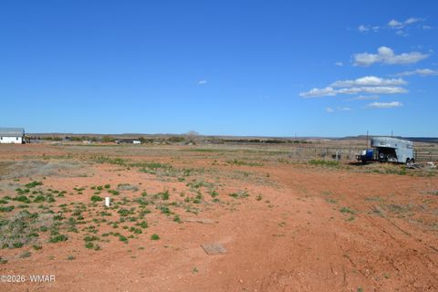 Tiny photo for 7651 Dalton Lane, Taylor, AZ 85939 (MLS # 259796)