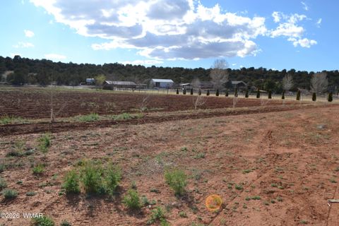 Tiny photo for 7651 Dalton Lane, Taylor, AZ 85939 (MLS # 259796)