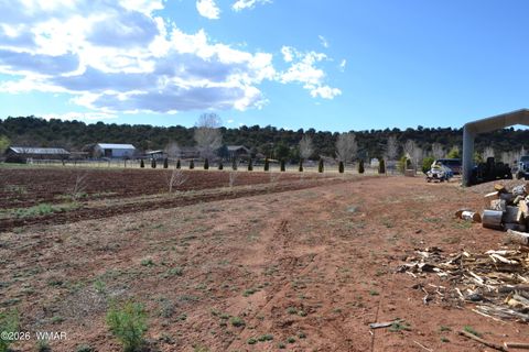 Tiny photo for 7651 Dalton Lane, Taylor, AZ 85939 (MLS # 259796)