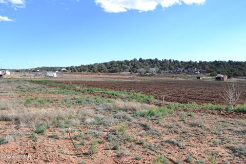 Tiny photo for 7651 Dalton Lane, Taylor, AZ 85939 (MLS # 259796)