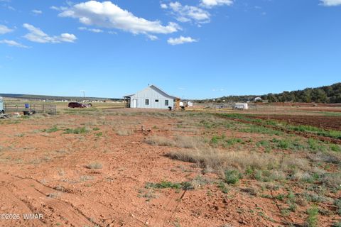 Tiny photo for 7651 Dalton Lane, Taylor, AZ 85939 (MLS # 259796)