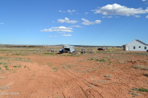 Tiny photo for 7651 Dalton Lane, Taylor, AZ 85939 (MLS # 259796)