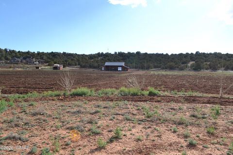 Tiny photo for 7651 Dalton Lane, Taylor, AZ 85939 (MLS # 259796)