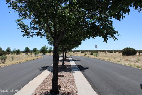 Tiny photo for 7688 Arroyo Plata Drive, Show Low, AZ 85901 (MLS # 241558)