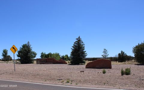 Tiny photo for 7688 Arroyo Plata Drive, Show Low, AZ 85901 (MLS # 241558)
