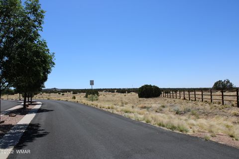 Tiny photo for 7688 Arroyo Plata Drive, Show Low, AZ 85901 (MLS # 241558)