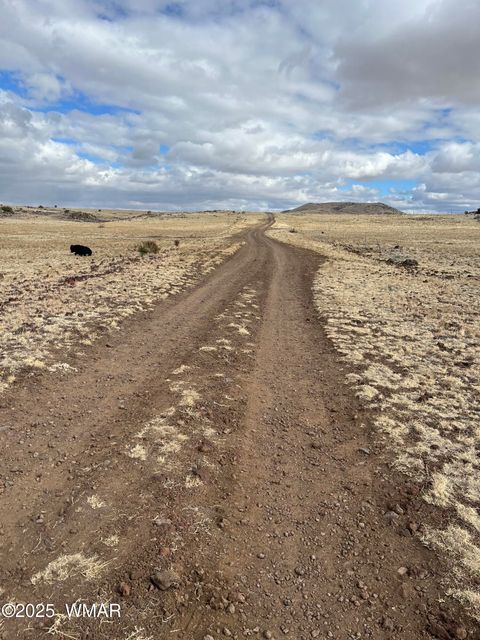 Photo of TBD N3540 Lot 500, Concho, AZ 85924 (MLS # 254191)