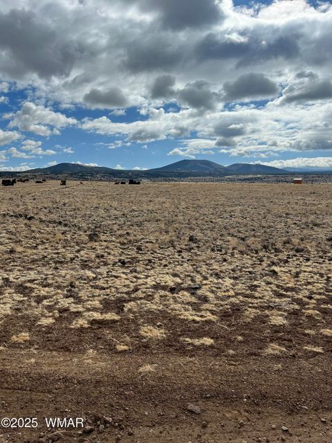 Tiny photo for TBD N3540 Lot 500, Concho, AZ 85924 (MLS # 254191)