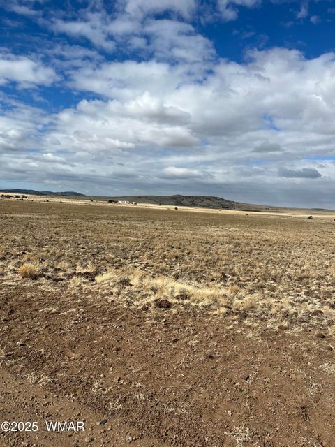 Tiny photo for TBD N3540 Lot 500, Concho, AZ 85924 (MLS # 254191)