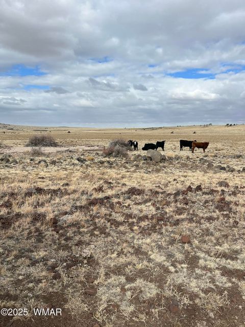 Tiny photo for TBD N3540 Lot 500, Concho, AZ 85924 (MLS # 254191)