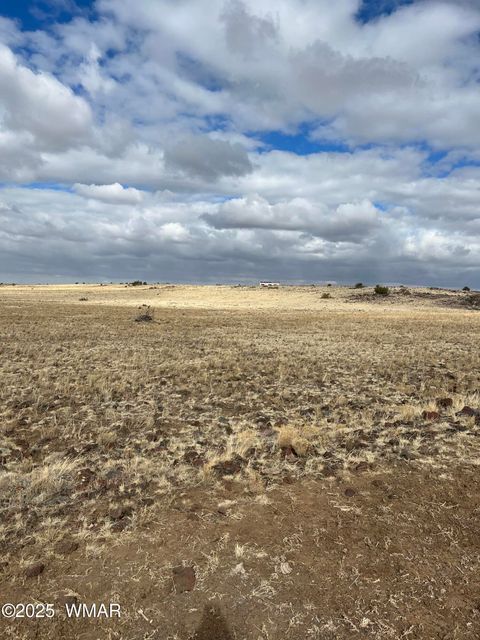 Tiny photo for TBD N3540 Lot 500, Concho, AZ 85924 (MLS # 254191)