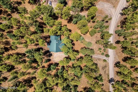 Tiny photo for 30 N1068, Greer, AZ 85927 (MLS # 261860)