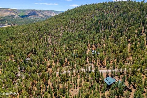 Tiny photo for 30 N1068, Greer, AZ 85927 (MLS # 261860)