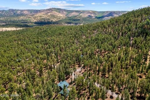 Tiny photo for 30 N1068, Greer, AZ 85927 (MLS # 261860)