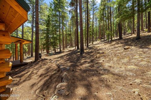 Tiny photo for 30 N1068, Greer, AZ 85927 (MLS # 261860)