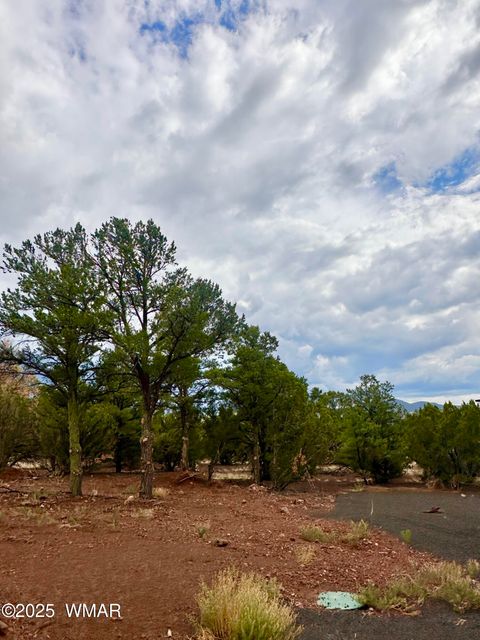 Tiny photo for 35445 AZ-61, Vernon, AZ 85940 (MLS # 257716)
