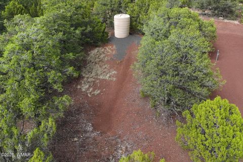 Tiny photo for 35445 AZ-61, Vernon, AZ 85940 (MLS # 257716)