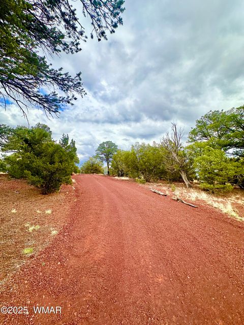 Tiny photo for 35445 AZ-61, Vernon, AZ 85940 (MLS # 257716)