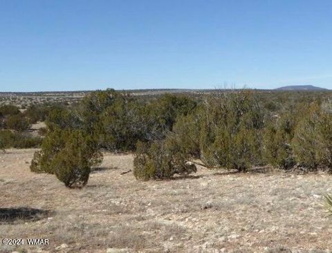 Tiny photo for tbd Squaw Tank Vista Drive, Heber, AZ 85928 (MLS # 252933)