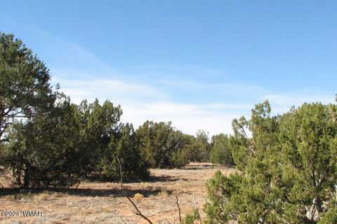 Tiny photo for tbd Squaw Tank Vista Drive, Heber, AZ 85928 (MLS # 252933)