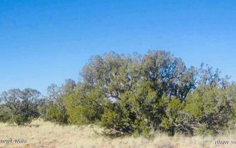 Photo of tbd Squaw Tank Vista Drive, Heber, AZ 85928 (MLS # 252933)