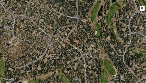 Photo of 4080 Shaggy Bark Road, Show Low, AZ 85901 (MLS # 259437)