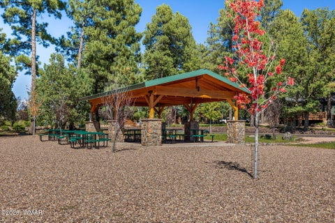 Tiny photo for 942 Pine Creek Drive, Lakeside, AZ 85929 (MLS # 263373)