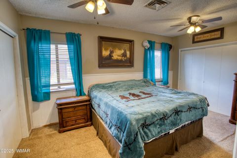 Tiny photo for 103 County Road 3167, Vernon, AZ 85940 (MLS # 257932)