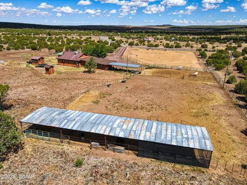 Tiny photo for 103 County Road 3167, Vernon, AZ 85940 (MLS # 257932)