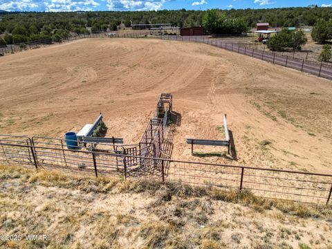Tiny photo for 103 County Road 3167, Vernon, AZ 85940 (MLS # 257932)