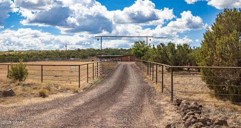 Tiny photo for 103 County Road 3167, Vernon, AZ 85940 (MLS # 257932)