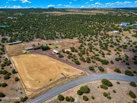 Photo of 103 County Road 3167, Vernon, AZ 85940 (MLS # 257932)