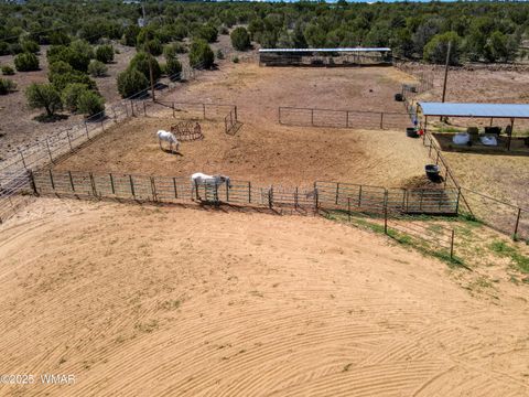 Tiny photo for 103 County Road 3167, Vernon, AZ 85940 (MLS # 257932)
