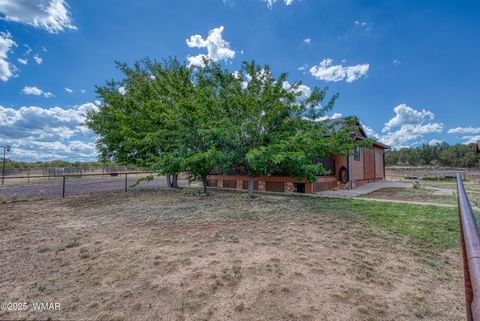 Tiny photo for 103 County Road 3167, Vernon, AZ 85940 (MLS # 257932)