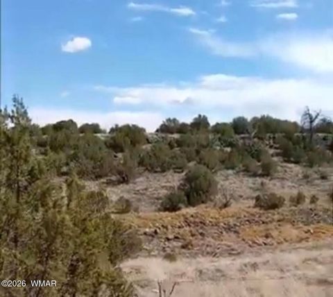 Tiny photo for 8594 Bobcat Drive, Show Low, AZ 85901 (MLS # 259196)