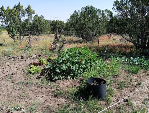 Tiny photo for 8594 Bobcat Drive, Show Low, AZ 85901 (MLS # 259196)