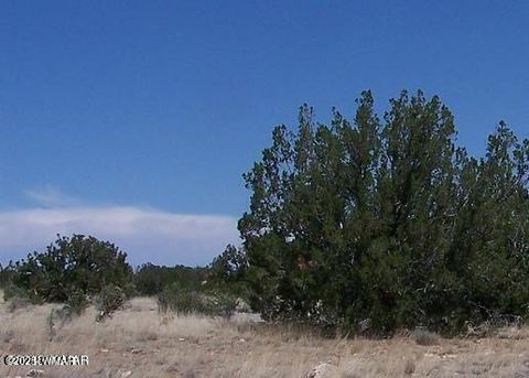 Photo of Sec 13 T14N, R16E:E2 Nw4 Se4 St, Heber, AZ 85928 (MLS # 254766)