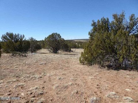 Tiny photo for Sec 13 T14N, R16E:E2 Nw4 Se4 St, Heber, AZ 85928 (MLS # 254766)
