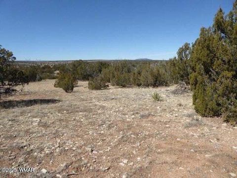 Tiny photo for Sec 13 T14N, R16E:E2 Nw4 Se4 St, Heber, AZ 85928 (MLS # 254766)
